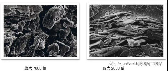 1636344586309931.jpg 4.jpg